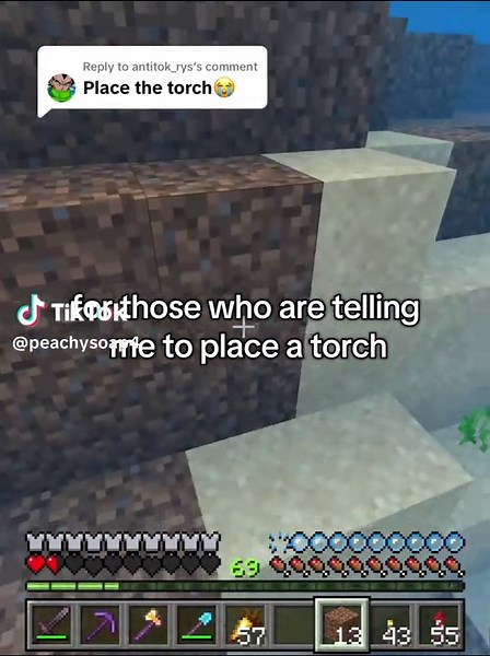 Minecraft Bedrock Edition Gameplay Tips and Tricks