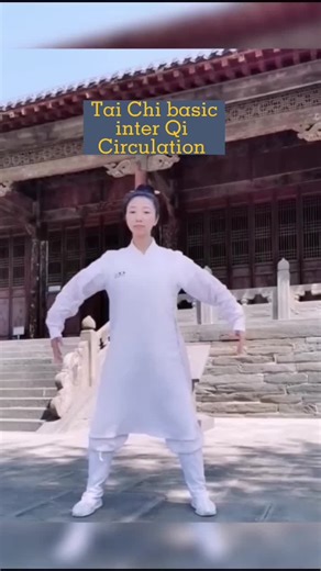 Beginner's Guide to Learning Tai Chi and Qigong