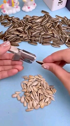 Creative Products | Amazon Find, Product Code: 145 ( Link in bio ) . . . . #gadgets #amazon #amazongadgets #amazonfinds #amazonmusthave #musthaveamazongadgets... | Instagram