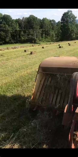 NH SUPER 77 cranking out 75-80 pound bales a few summers ago because I forgot to back off cranks after baling oat straw. So sorry the hay crew from BARBER FARMS they were not impressed. 😎 😅 #ballermanr #reelschallenge #farmerlife #fieldwork #harvesttime #reelviral #balerman #rurallife #reeelschallenge #newreels | Baler man
