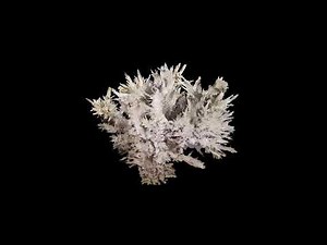 Aragonite: The mineral aragonite information and pictures