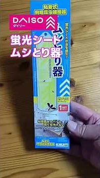 【結果報告】ダイソームシとり器 蛍光シートの捕獲力
