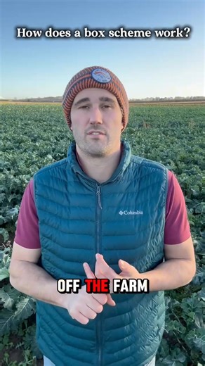 1.8K views · 54 reactions | How does a veg box scheme work? ☝️☝️☝️六‍ If you want to support your local farmer this is one way to do it  | The Organic Pantry | Facebook