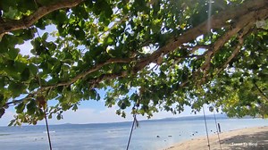 210K views · 4.6K reactions | This website was created to bring...