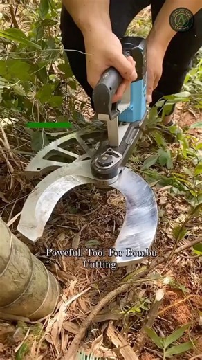 This bamboo cutting machine makes it look easy #satisfying #farming #harvesting