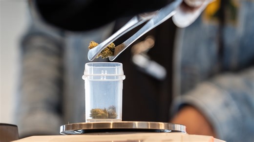 Michigan Supreme Court asked to rule on marijuana use and probation