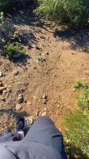 Explore the Beauty of Laguna Beach Hiking