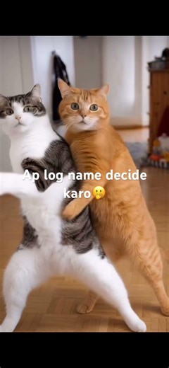Ap log name decide karo@sitarayaseensana