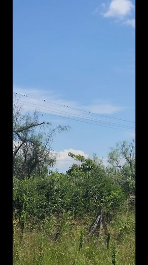 Impresionante exhibición militar de los jets KDF