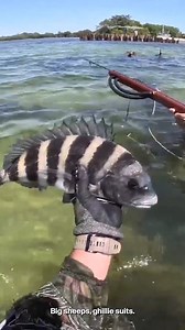 21K views · 286 reactions | Underwater spearfishing in a ghillie suit was such a thrill!  Those things work!! #spearfishing #fishing | Jiggin' With Jordan | Facebook