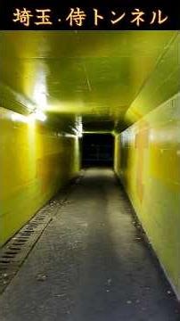 【心霊】埼玉屈指の心霊トンネルで絶叫した理由とは...#shorts #心霊スポット