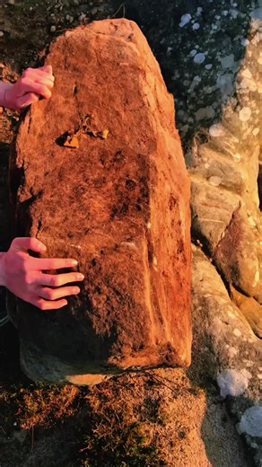 Real authentic Mediterranean food