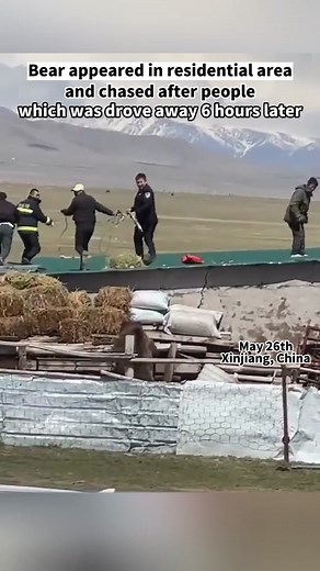 Bear Chases People in Residential Area