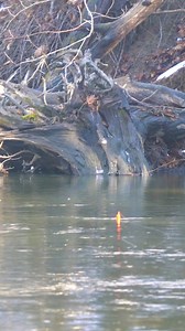 Hawken Fishing Products aero-floats gettin’ smoked! 💨 •••#bobberdown #steelhead #floatfishing #reelsfbシ #reelsviralシ #riverfishing #steelheadfishing #steelheading #steelheadmanifesto #fishingreels #floatdrop #bobber #bobberfishing #trout #troutcandy #troutbum #springsteelhead #creek #creekfishing #fishing #fishinglife #kingsalmon #troutfishing #fishingjunkie #fishofalifetime #fishingday #salmonfishing | SBS Outdoors