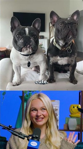 Pet Names: Cute, Silly, or Human-like?