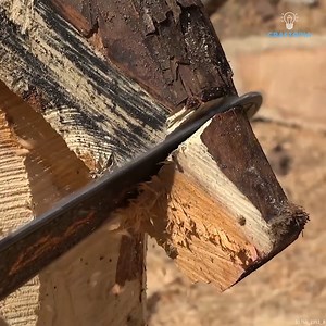 71 reactions · 3 comments | ASMR Sculpture: Carving a Seahorse | Craftopia | Facebook