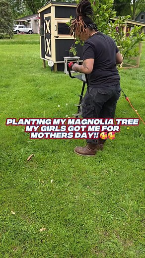 Planting Magnolia Trees: A Garden Adventure