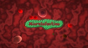 Micro Infection by SIsilicon