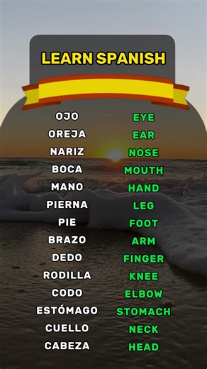 87K views · 1.8K reactions | Learn Spanish Free Beginner in Spanish? Subscribe to level up fast! . . . . #spanish #español #spain #language #languagelearning #spanishquiz #learnspanish #LearnSpanish #easyspanish #spanishlesson #spanishlessons #spanishlessonsonline #spanishlanguage #SpanishTeacher #spanishforbeginners #spanishtiktok #spanishvocabulary #spanishgrammar #spanishonline | Learn Spanish Free | Facebook