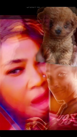 Mo optimistic (@mo.optimistic)’s videos with original sound - Mo optimistic