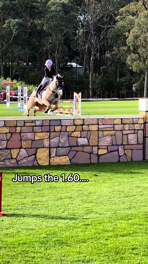 Amazing Jumping Horses - Unbelievable Tricks and Speed