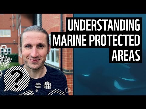 What is a marine protected area? | WWF