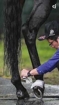 What we've learned from watching Japan horses ahead of Kentucky Derby