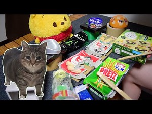 W&W - OIIA OIIA (Spinning Cat) Drum Cover