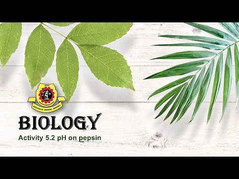 Form 4 (Activity 5.2)