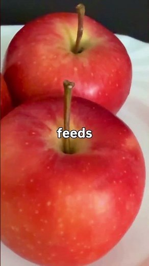 Apples: The Ultimate Gut Health Hack