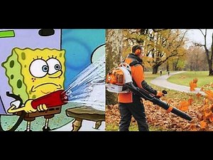 Why Do I Hate Leaf Blowers?