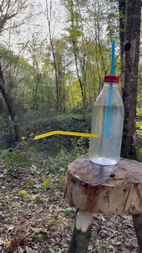 223K views · 7.1K reactions | You won't learn these life hacks in school! #lifehack | Jordan Howlett | Facebook