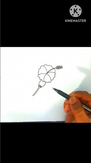 How to Draw Jasmine Flowers - Step by Step