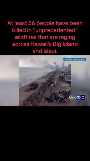 At least 36 people have been killed in