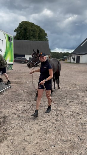 Välkommen till ditt nya hem Bravo Briljance🤩 Ett 4-årigt sto e. Express Bourbon – Ocean Breeze (Turbo Thrust) Bravo Briljance är syster med miljonärerna Bravo Navarone och Bravo Sabotage. 🤩 Ägarkonstellationen är inte riktigt klar med några av dom är Mange och Uffe som även äger Dancing Days. Wow, vilken vacker tjej! Så spännande detta ska bli😍♥️ #travsport #equumstable #nyförvärv #nysatning #hästägare #travfamiljen #equum #trav #harnessracing | Equum Stable