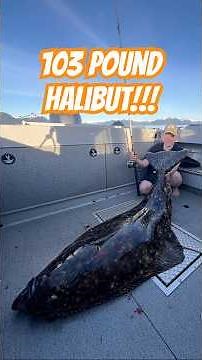 Giant halibut in Alaska! #alaska #fishing