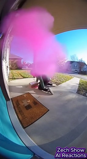 neighbor steals package and gets a surprise | Zech Show