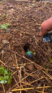 Crackers Around the World - Taste Test!" #crakers #entertainment #experiment #11 | Mahesh chauhan