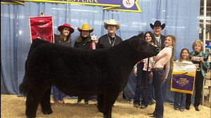 Here's how much the top 8 animals were sold for at the Stock Show