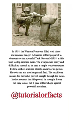 Tank Gewehr M1918 Test 🔥 First Anti-Tank Rifle in Action | WW1 History