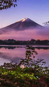 3.5K views · 66 reactions | A phone call you (or your customers)...