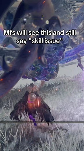 Ds2 ahh hitboxes #eldenring #gaming #memes #funny