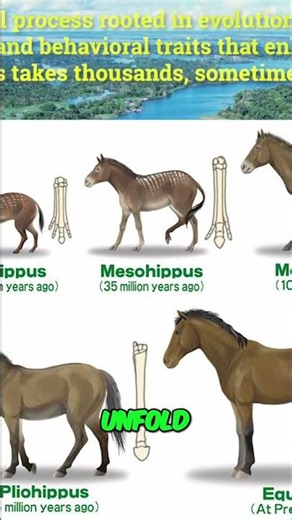 Adaptation: How Evolution Shapes Survival & Reproduction #shorts