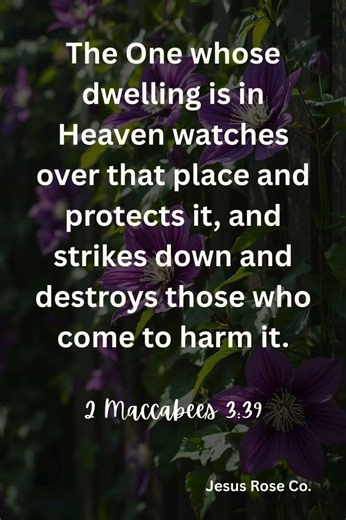 Catholic Bible Study | 2 Maccabees 3:39 | Jesus Rose Co. ✝️
