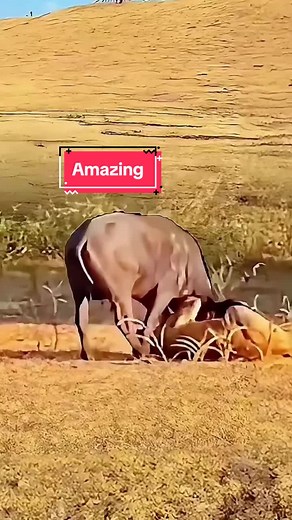 Amazing Nature Moments to Inspire Your Exploration