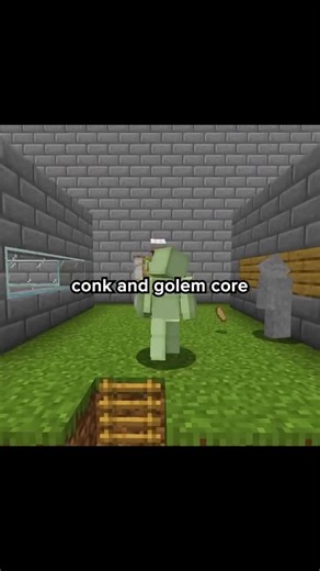 Joll and Conk | They have a special friendship. #jollandconk #minecraft | Instagram