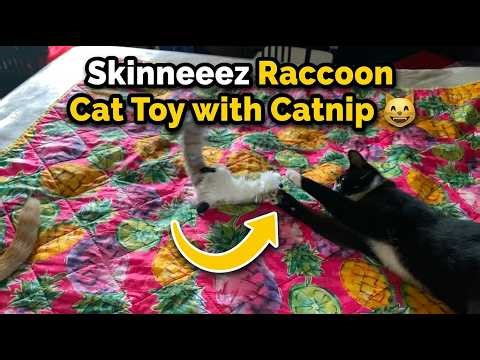 Skinneeez Raccoon Automatic Cat Toy with Catnip Review 🐈 RadFelines