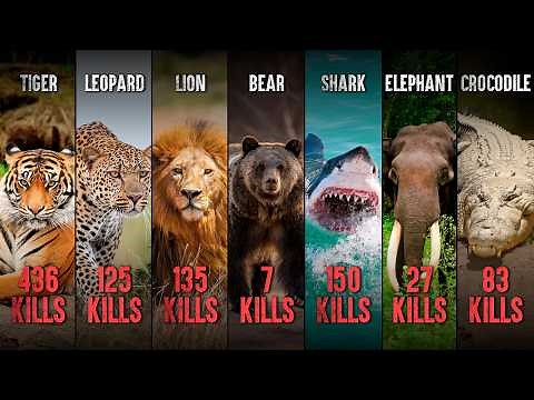 Worst Animal Attacks In Human History