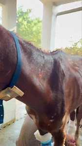 1.6M views · 49K reactions | Torticollis, A reality of the poor...