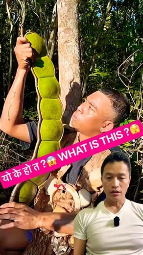 यो अचम्मको फल रैछ! के नाम होला?🤔 | What Is the Name of This Amazing Fruit? 🍈🤔